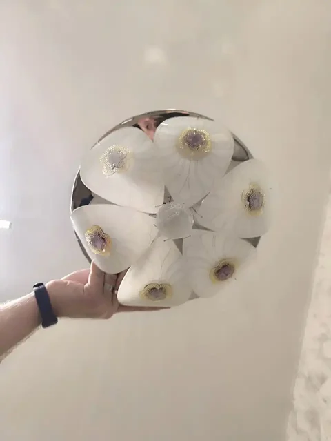 Люстра потолочная с пультом на обмен на корм для собак - Разное в Краснодар