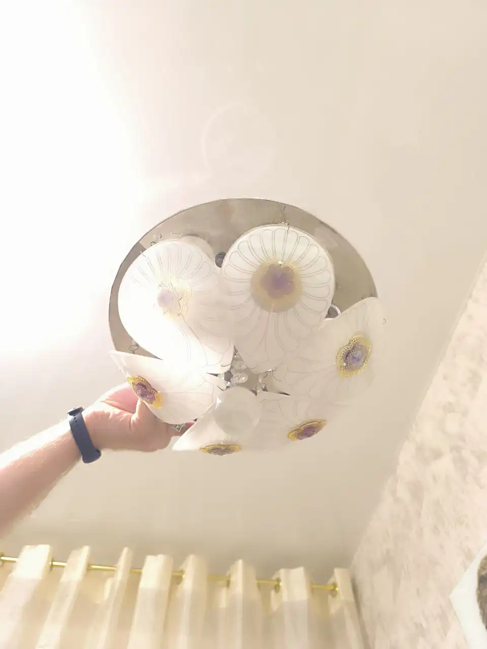 Люстра потолочная с пультом на обмен на корм для собак