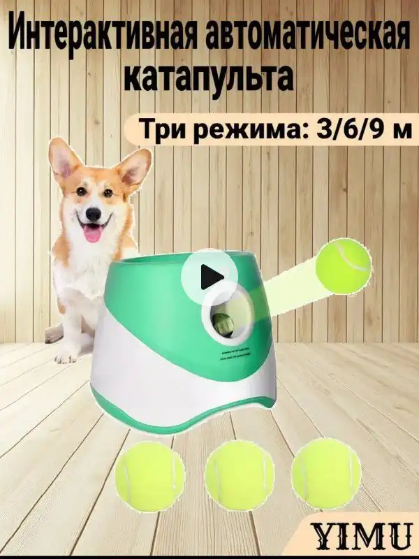 Катапульта для собак с зарядным устройством и мячом - Товары для животных (Животные) в Краснодар