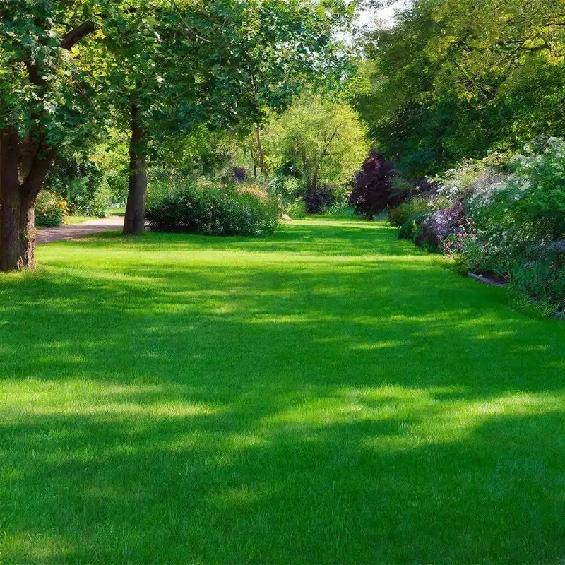 Умный сад мечты с системами ландшафтного озеленения - Ландшафтные работы (Услуги) в Краснодар