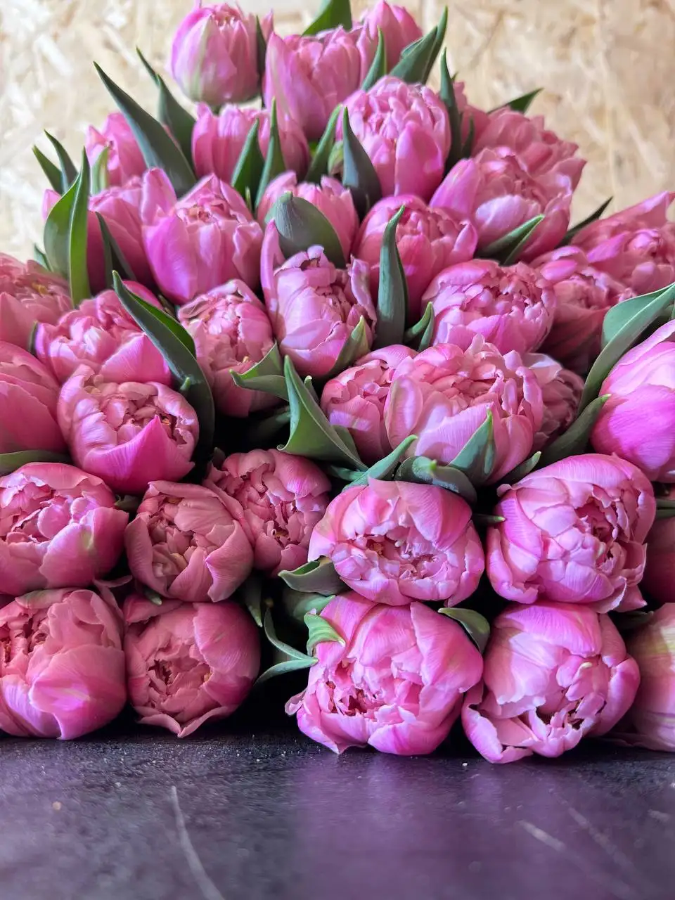 Тюльпаны оптом и в розницу к праздникам - Цветы (Хобби и отдых) в Краснодар
