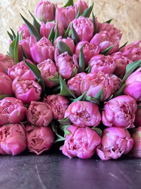 Тюльпаны оптом и в розницу к праздникам - Билеты на мероприятия в Краснодар