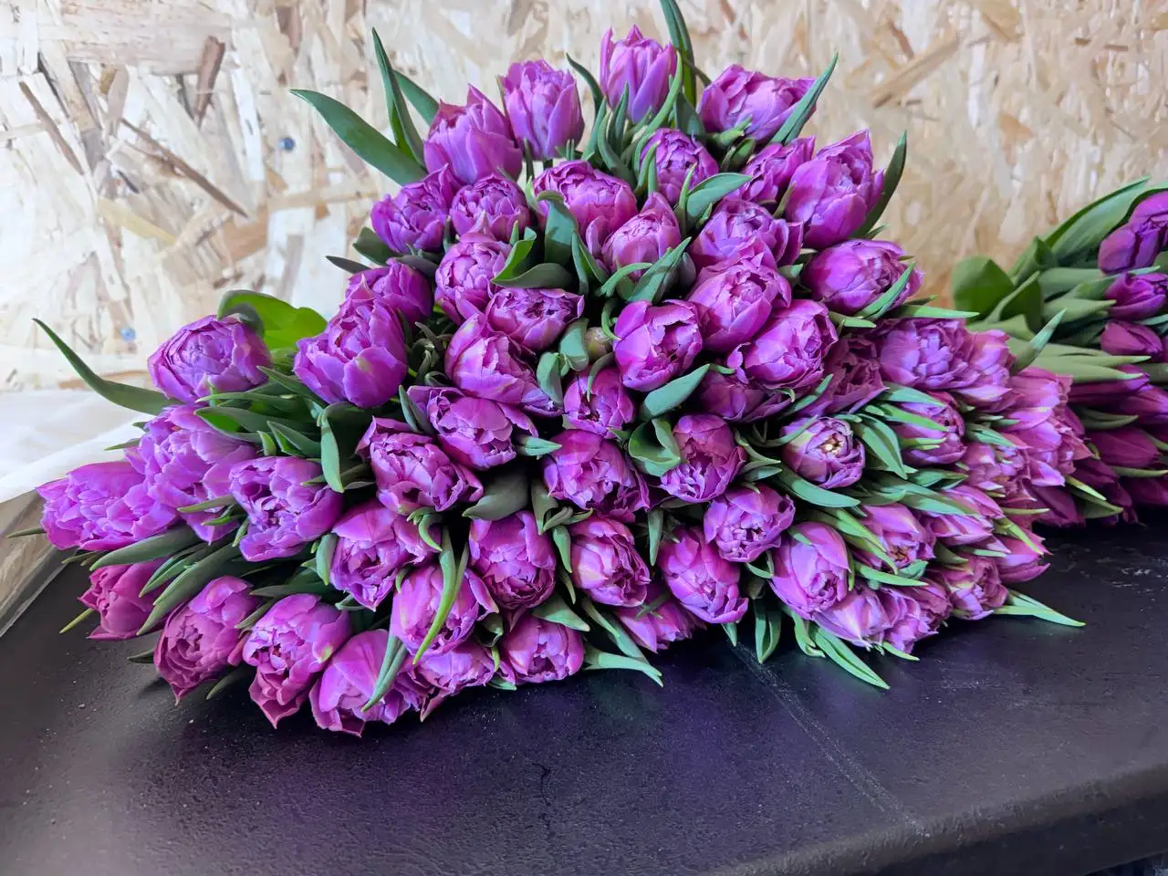 Тюльпаны оптом и в розницу к праздникам - Цветы (Хобби и отдых) в Краснодар