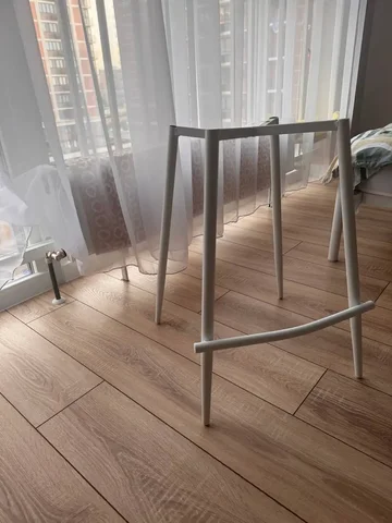 Продажа полубарной ножки 60 см - Растения/Саженцы в Краснодар