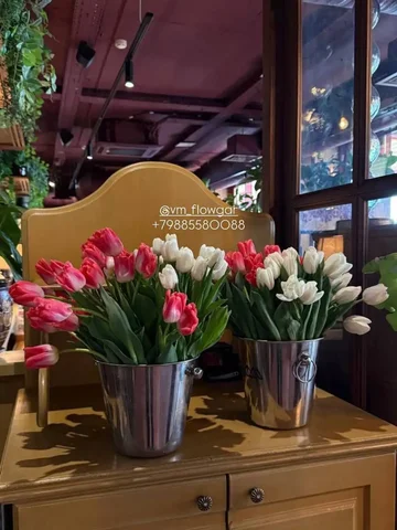 Специальное предложение по цветам - Барахолка в Краснодар