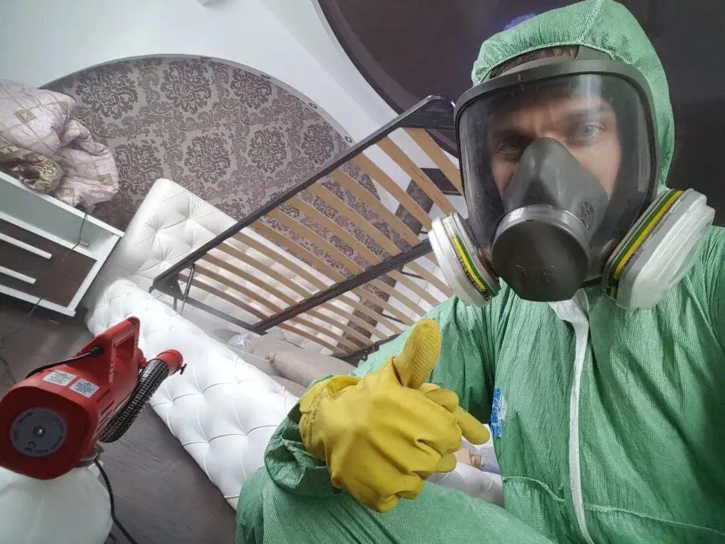 Дезинсекция и уничтожение вредителей в Краснодаре - Дезинсекция (Услуги) в Краснодар