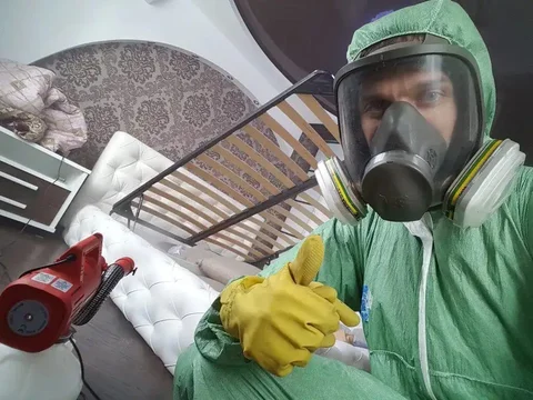 Дезинсекция и уничтожение вредителей в Краснодаре - Дезинсекция в Краснодар