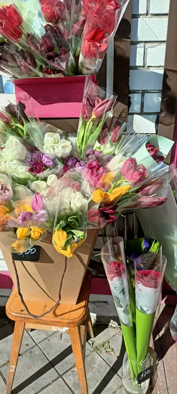 Продажа тюльпанов оптом с доставкой - Цветы (Хобби и отдых) в Краснодар