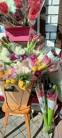 Продажа тюльпанов оптом с доставкой - Скворечники и кормушки в Краснодар