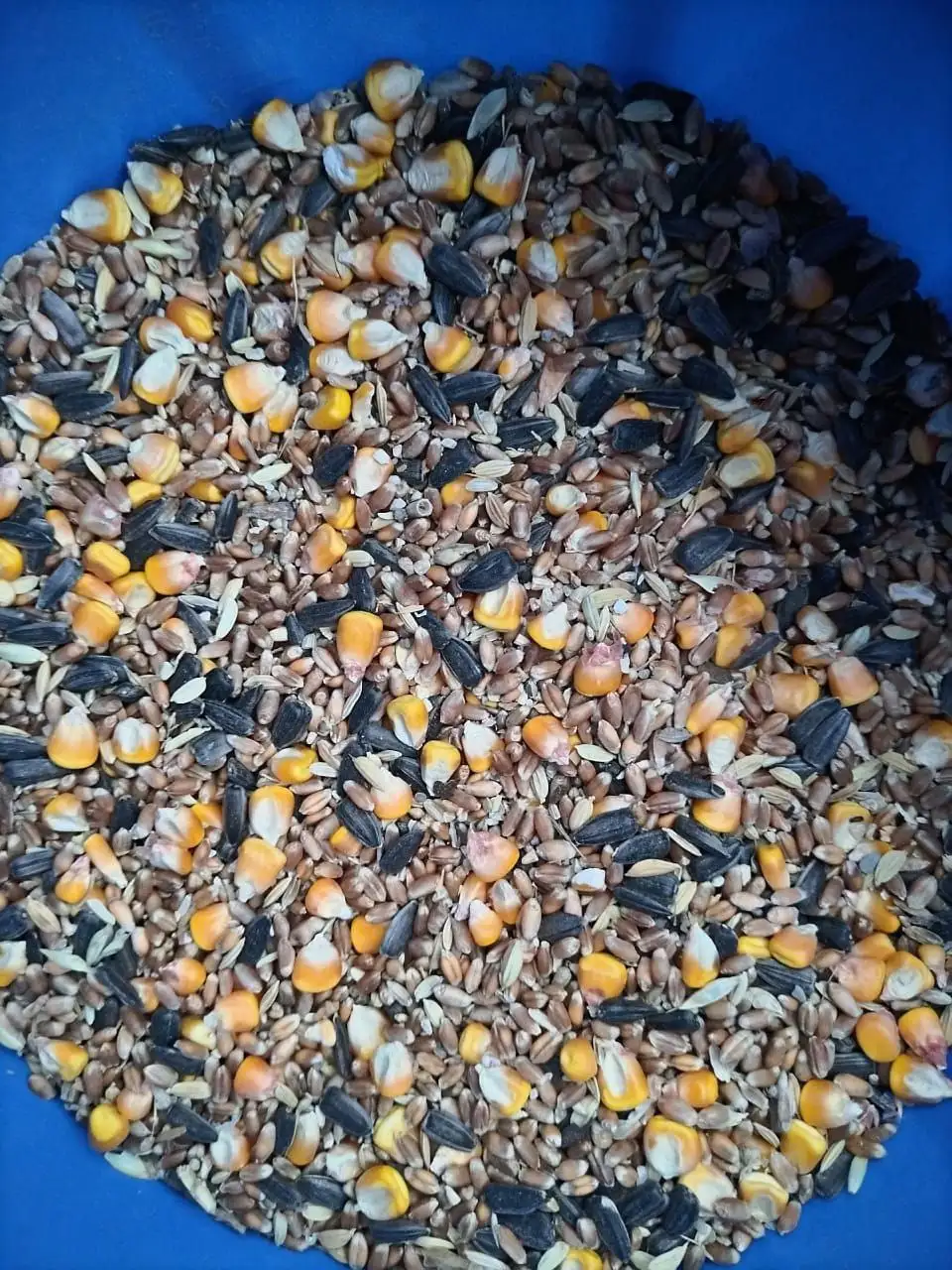 Продажа зерносмеси - Барахолка в Краснодар