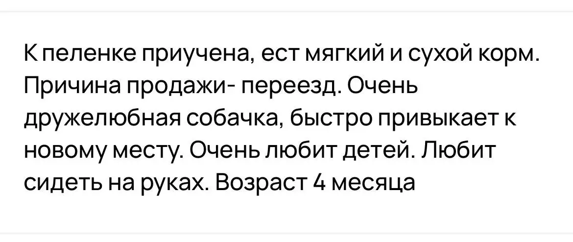 Продажа собачки Русский тойтерьер - Собаки (Животные) в Краснодар