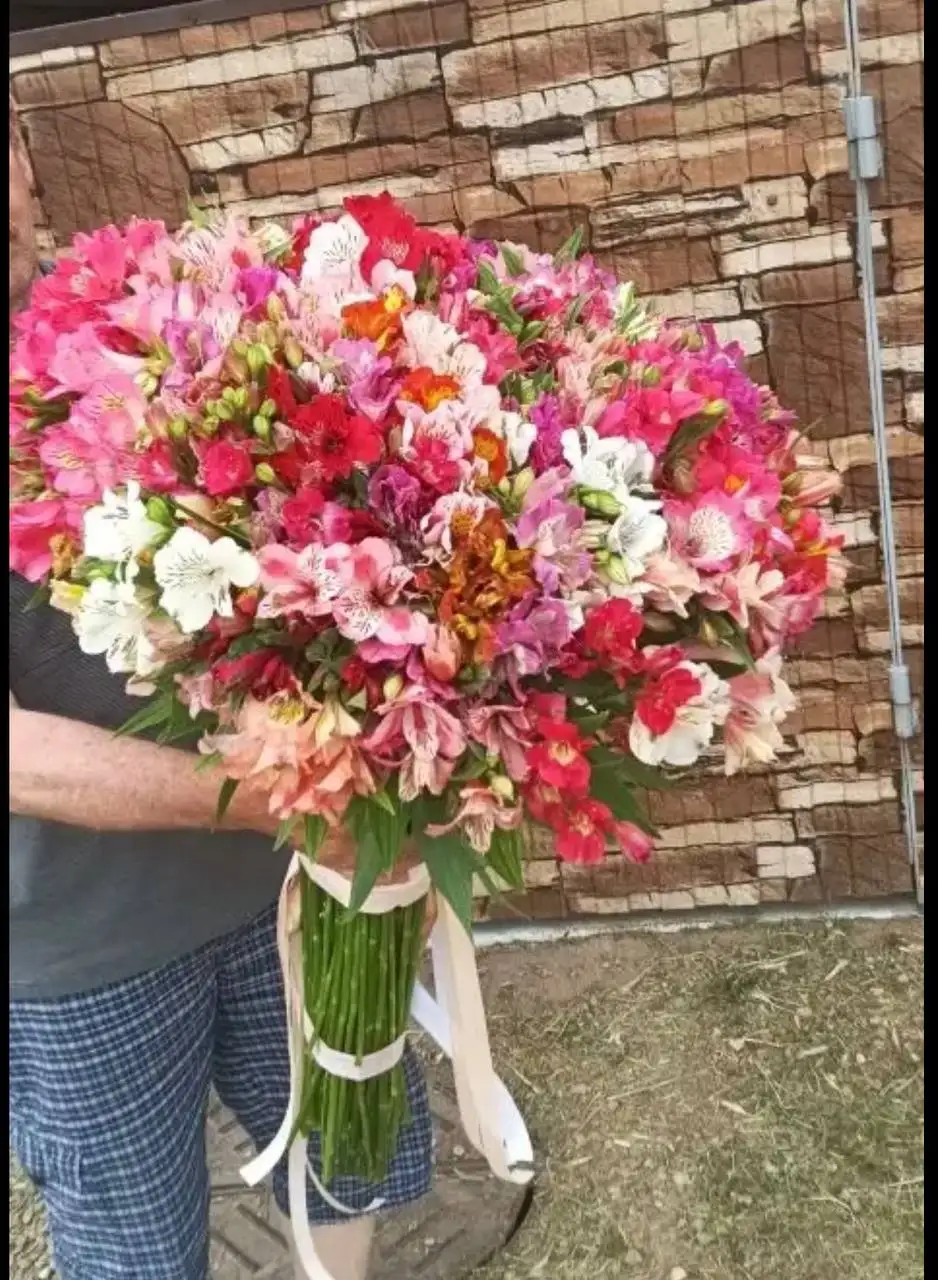 Продажа свежесрезанной альстромерии - Цветы (Хобби и отдых) в Краснодар