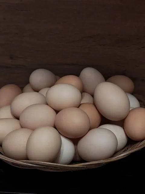 Продажа свежих деревенских яиц - частное объявление в Краснодар