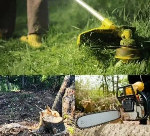 Услуги по уходу за участком: покос травы, спил деревьев, обрезка плодовых деревьев - Благоустройство территории (Услуги) в Краснодар