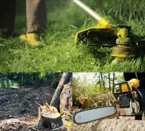 Услуги по уходу за участком: покос травы, спил деревьев, обрезка плодовых деревьев - Здоровье и фитнес в Краснодар