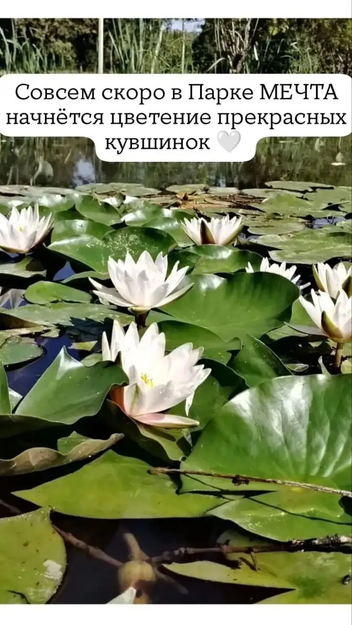 Продажа (нужно указать, что продается) - Услуги в Краснодар