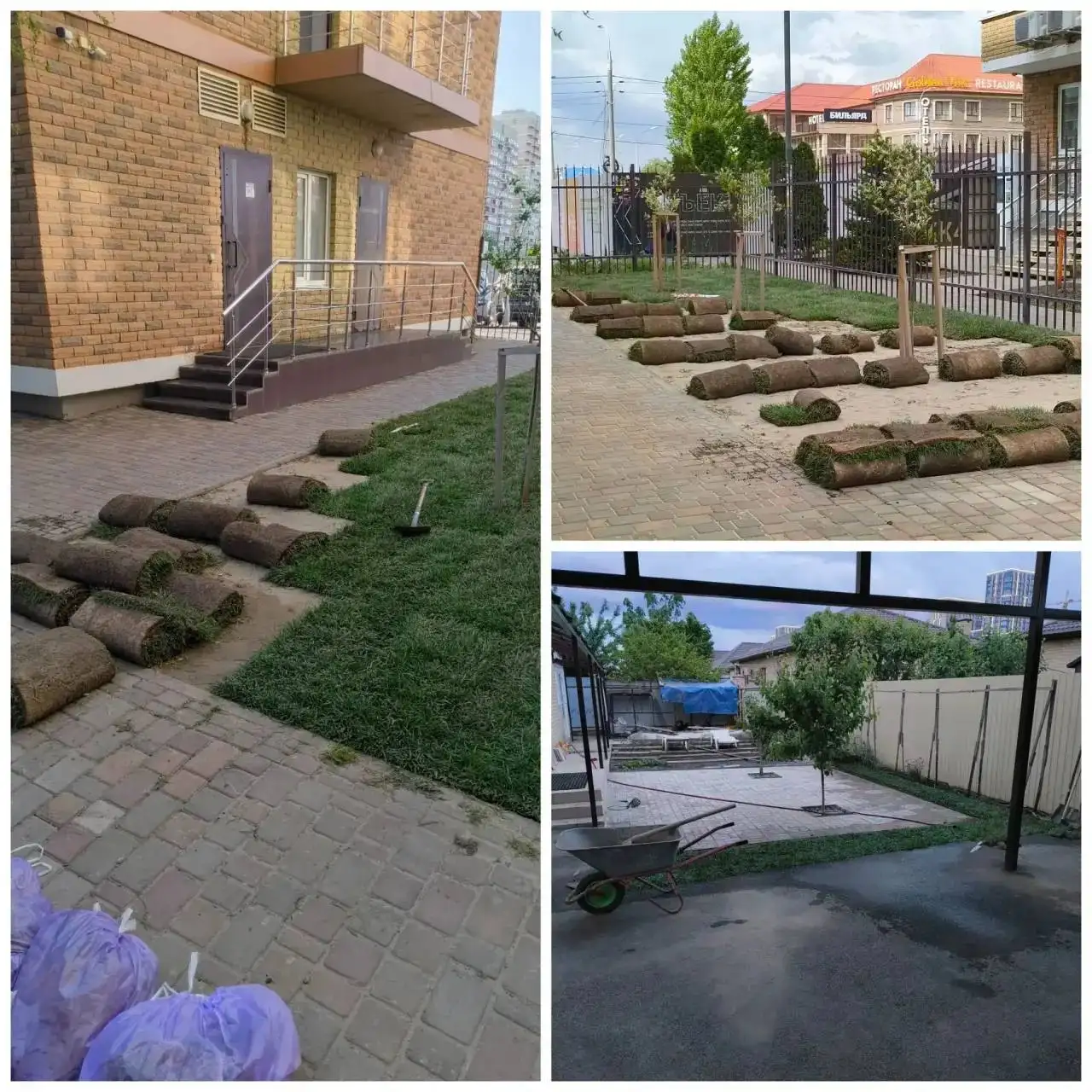 Укладка газона под ключ - газон (Услуги) в Краснодар