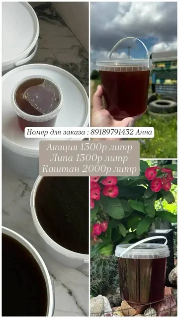 Мед натуральный с пасеки, разные сорта - частное объявление в Краснодар