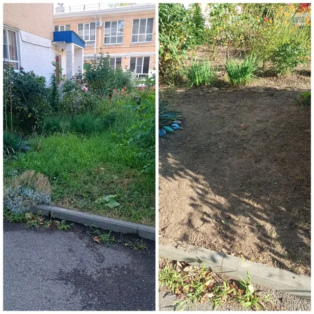 Уборка участков, клумб, огородов - Репетиторство в Краснодар
