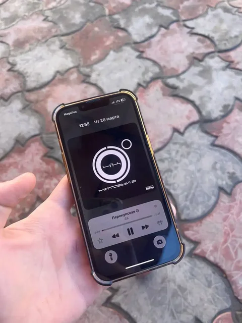 iPhone 13 Pro 256GB с заменённым экраном - Крупная бытовая техника в Чебоксары