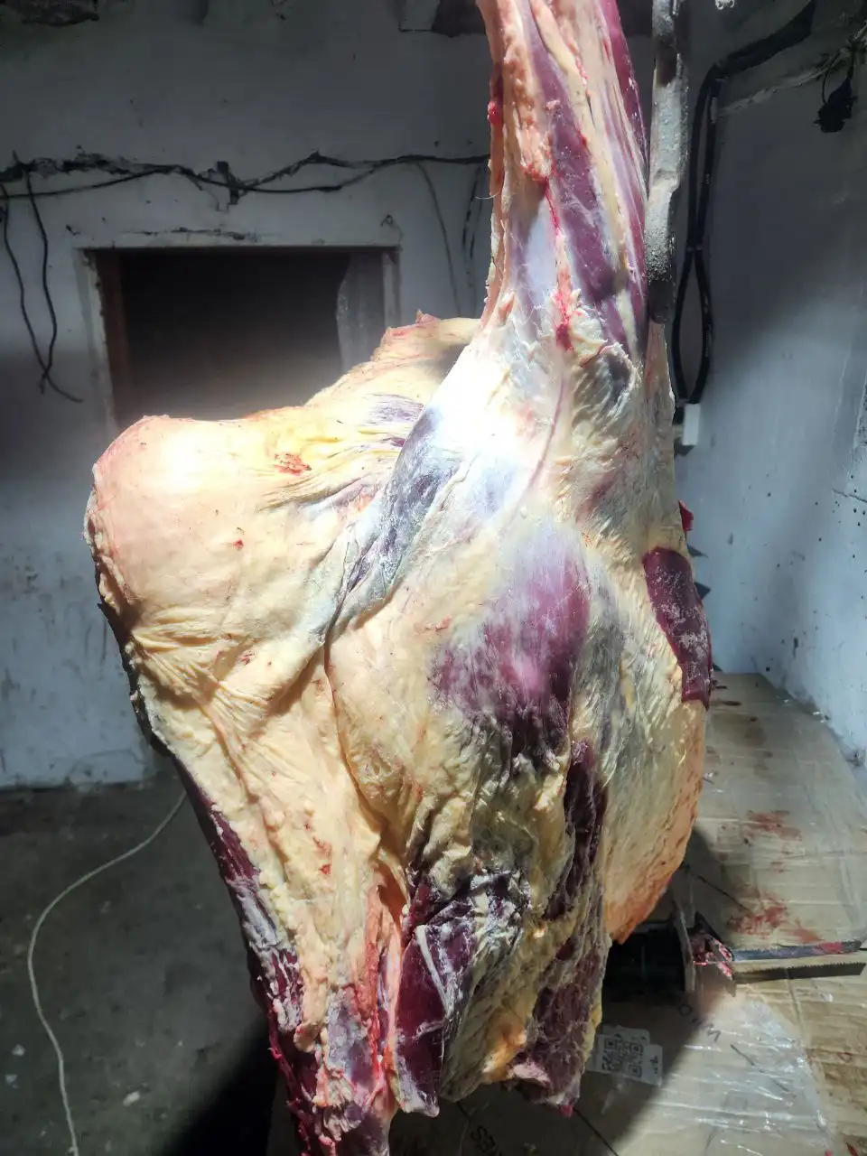 Продажа говяжьих лопаток