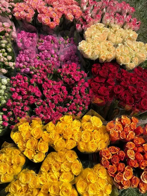 Свежие цветы из местной теплицы - Инструменты в Орск