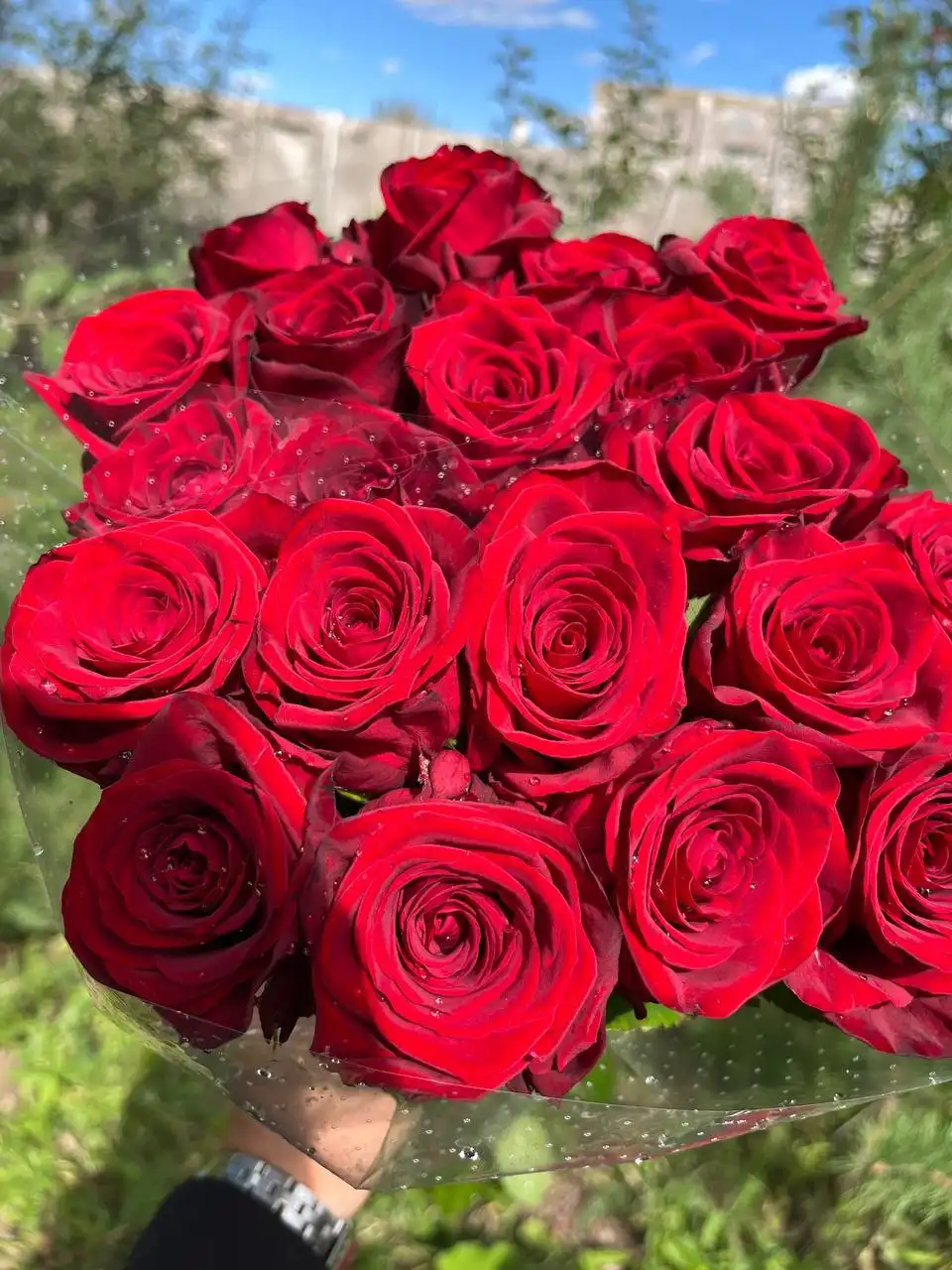 Свежие цветы из местной теплицы