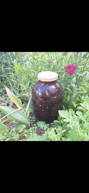 Соленые грибы свинух и валуй 3л - Продукты питания в Орск