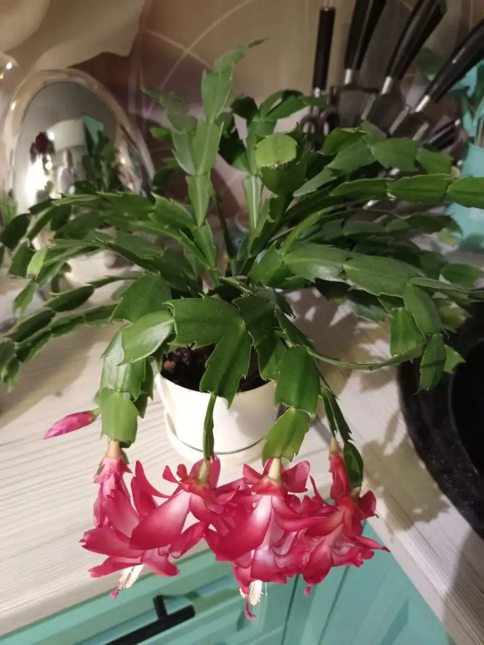 Объявление о продаже с барахолки - Барахолка в Неизвестно