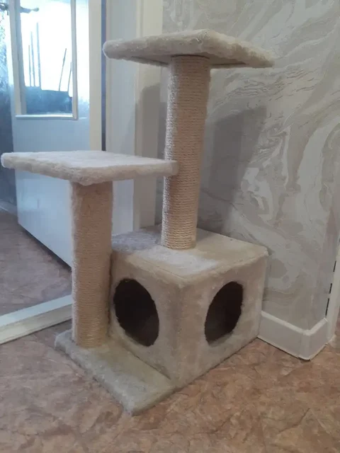 Кошачий дом-когтеточка с комплектом аксессуаров - Животные в Неизвестно