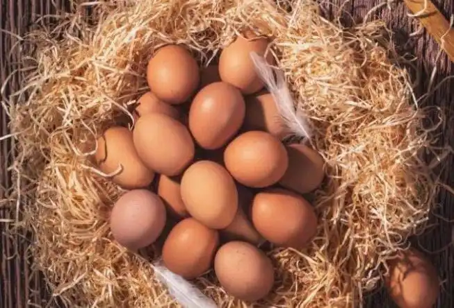 Домашнее свежее яйцо - Продукты питания (Барахолка) в Орск