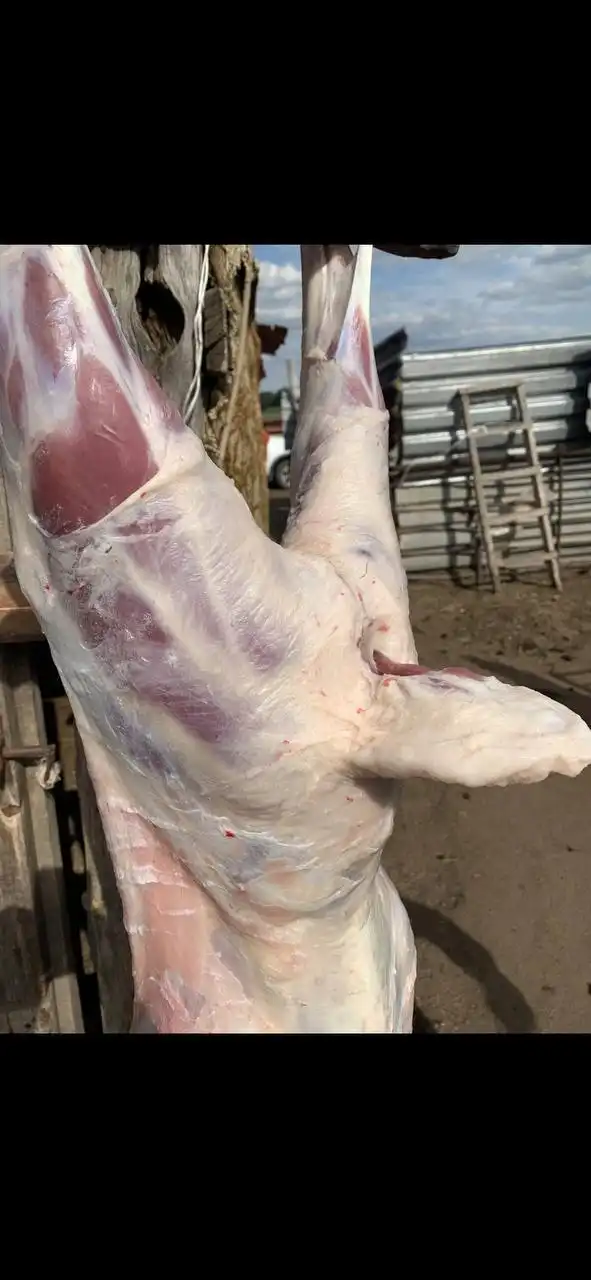 Баранина - Продукты питания (Барахолка) в Новороссийск