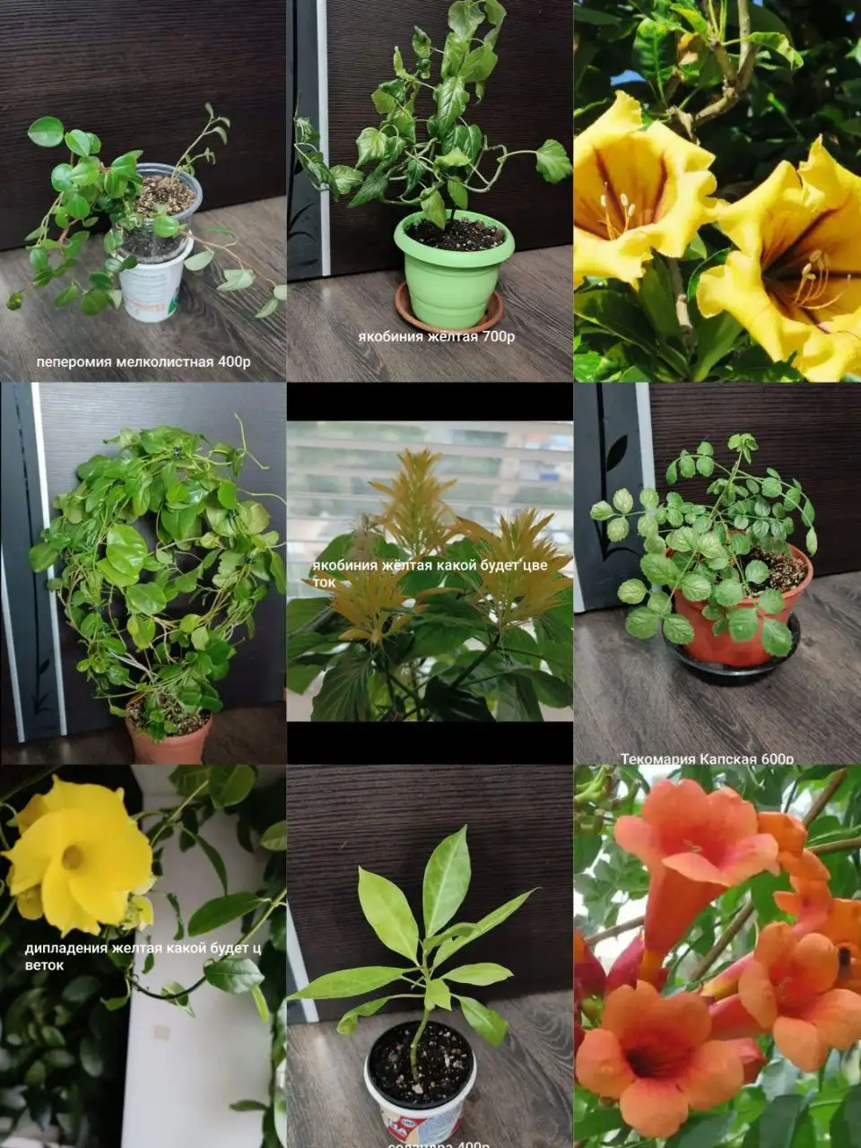 Продажа б/у мебели в Орске - Мебель (Барахолка) в Орск