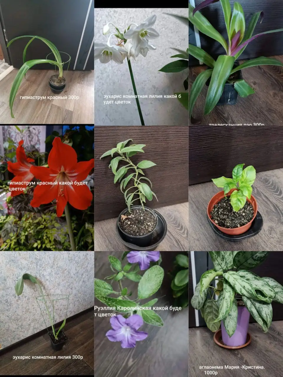 Продажа б/у мебели в Орске - Мебель (Барахолка) в Орск