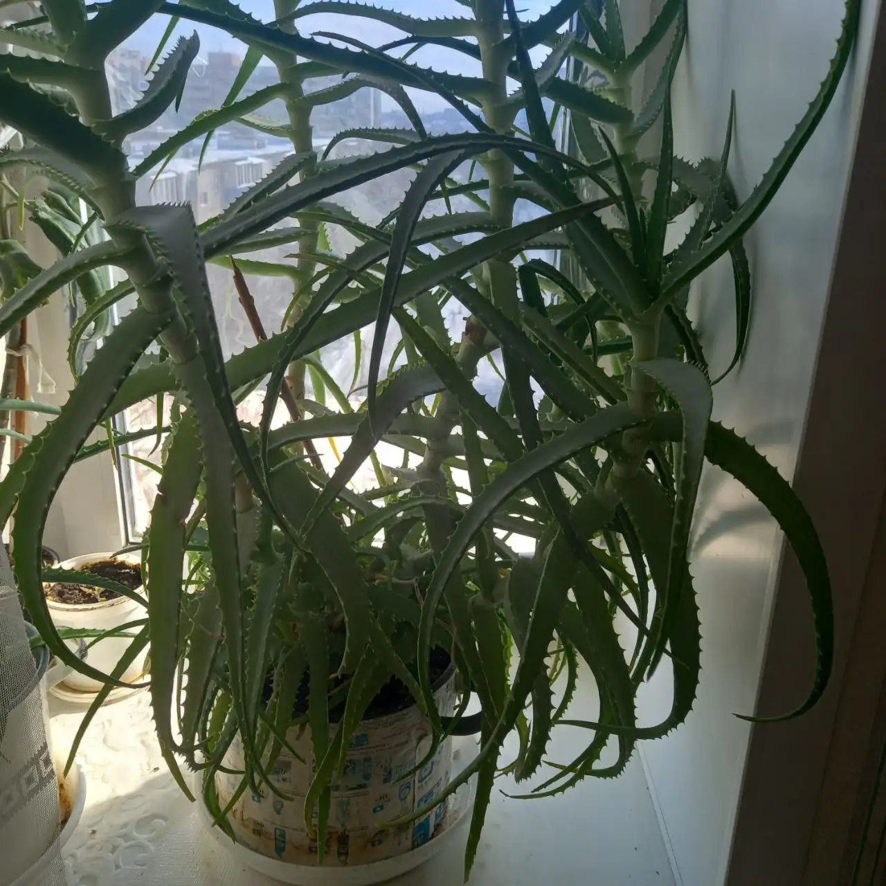 Продажа товара на барахолке - Барахолка в Неизвестно