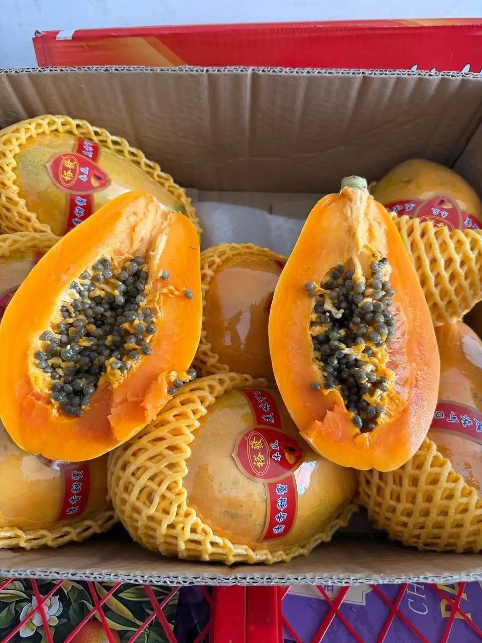 Доставка свежих фруктов и овощей в Орск и соседние города - Доставка продуктов (Услуги) в Орск