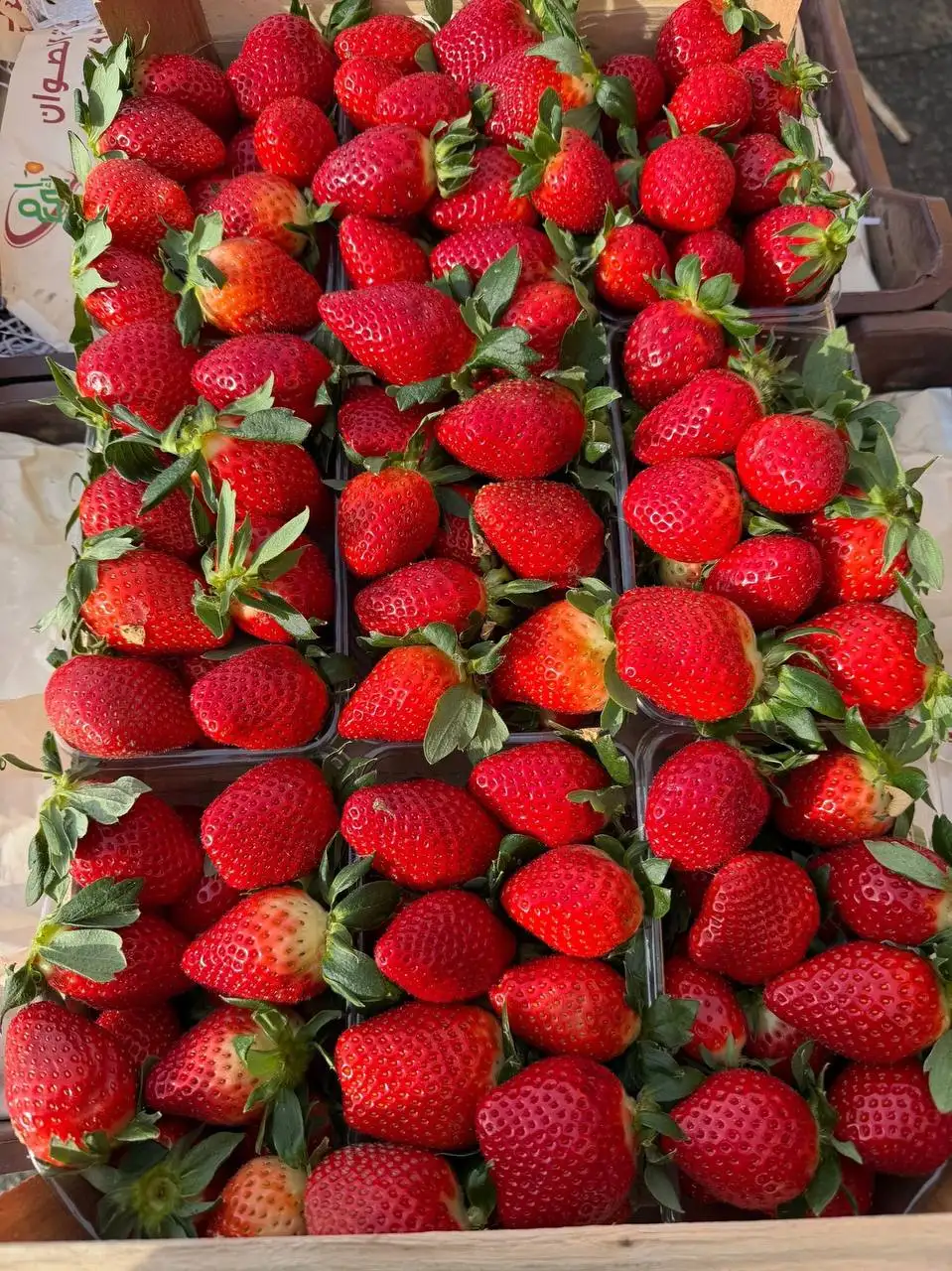 Доставка свежих фруктов и овощей в Орск и соседние города - Доставка продуктов (Услуги) в Орск