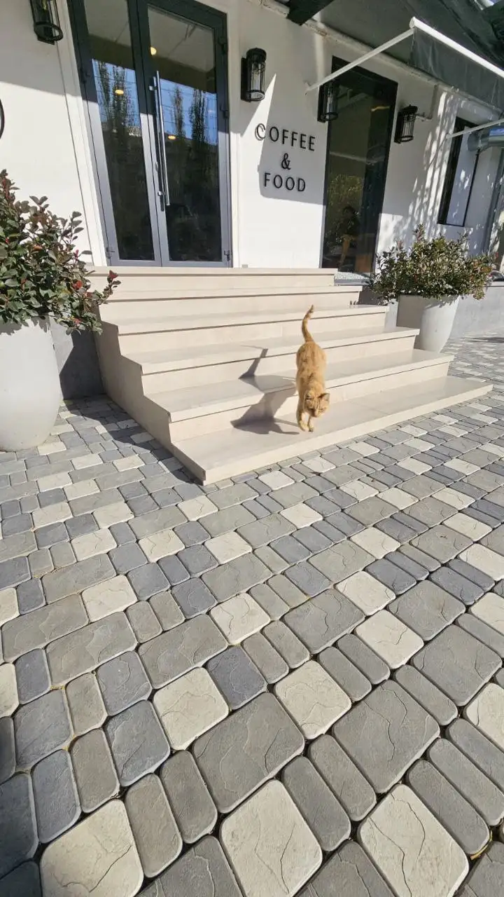 Тротуарная плитка, бордюры, водостоки - Строительные материалы (Барахолка) в Орск