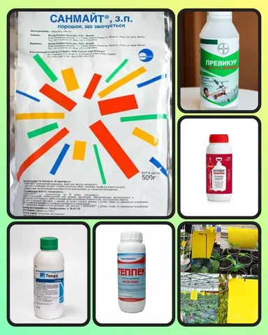 Садовая аптечка: препараты для обработки сада - Растения в Орск