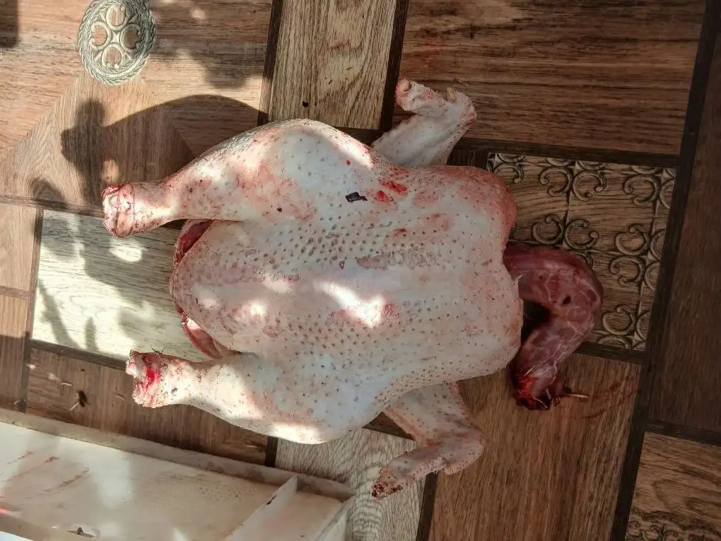 Продажа мяса бройлеров с доставкой - Продукты питания (Барахолка) в ОРСКая