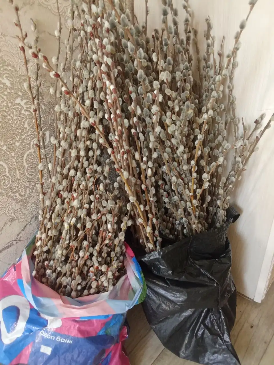 Продам вербы - Барахолка в Орск