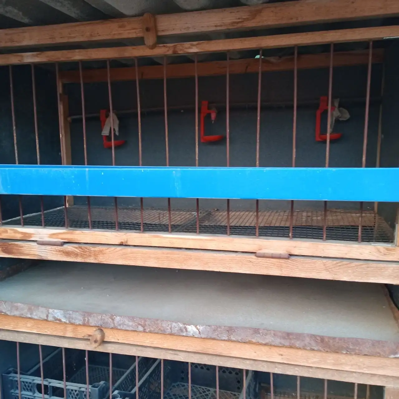 Продам клетку для птицы с комплектом - Клетки для животных (Барахолка) в Орск