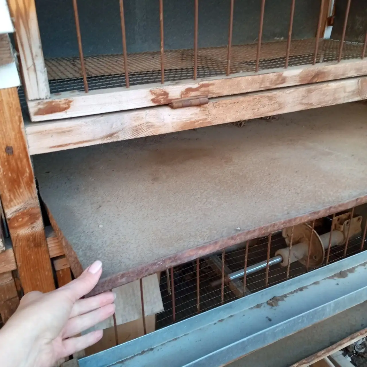 Продам клетку для птицы с комплектом - Клетки для животных (Барахолка) в Орск