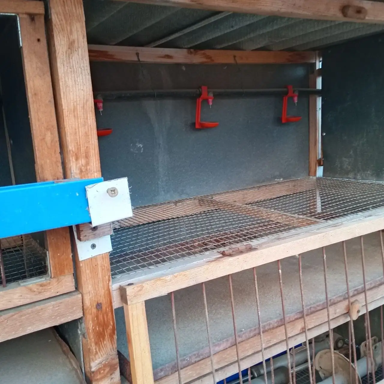 Продам клетку для птицы с комплектом - Клетки для животных (Барахолка) в Орск