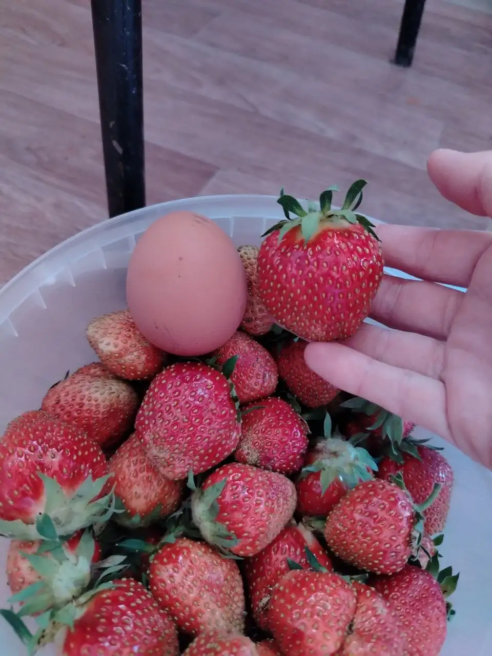 Ароматная клубника на заказ - Продукты питания в Орск
