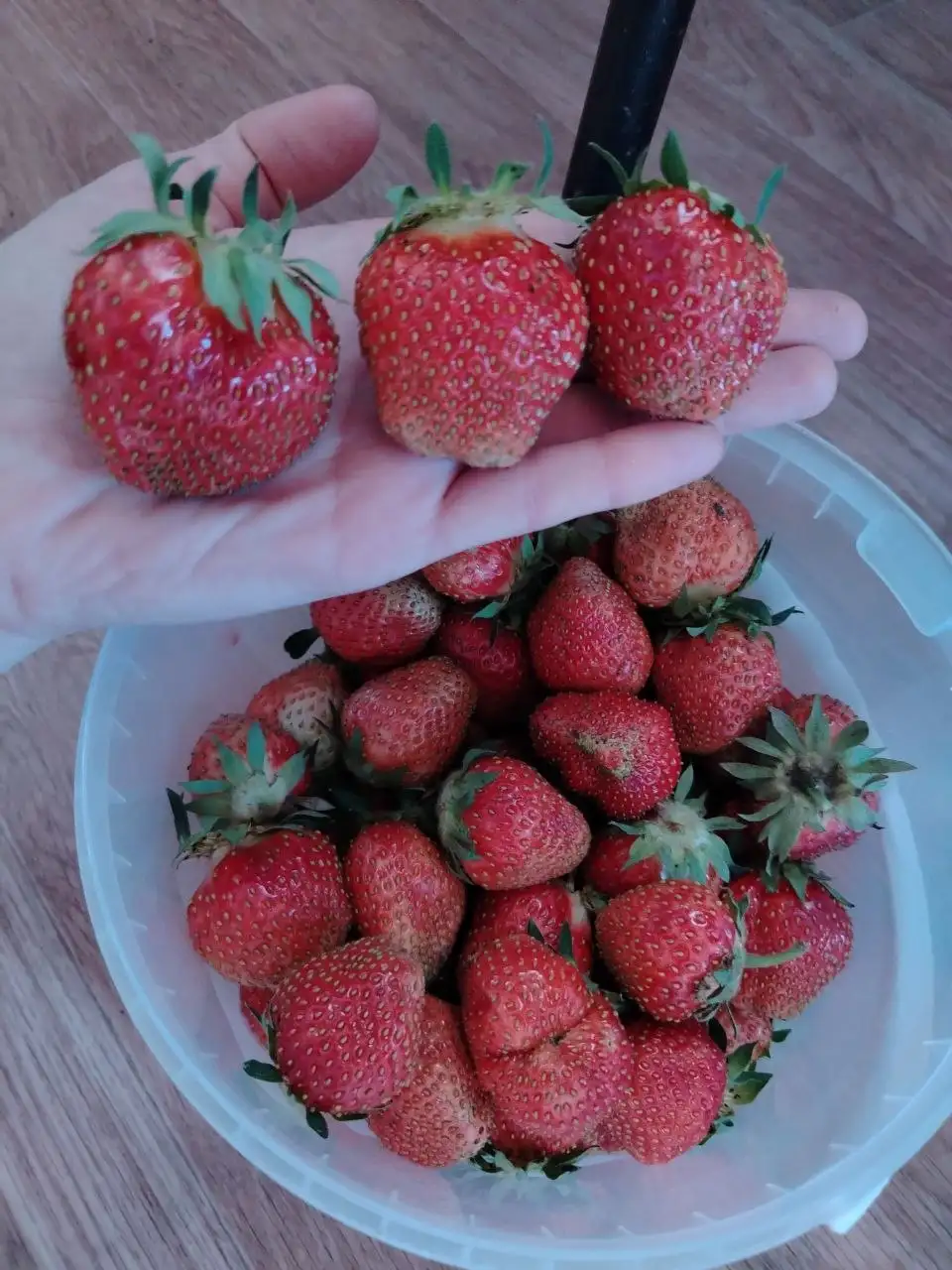 Ароматная клубника на заказ - Продукты питания в Орск