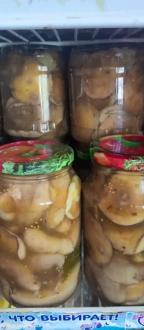 Продам маслята маринованные - частное объявление в Орск