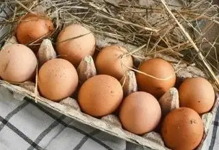 Продажа домашних яиц - Барахолка в Орск