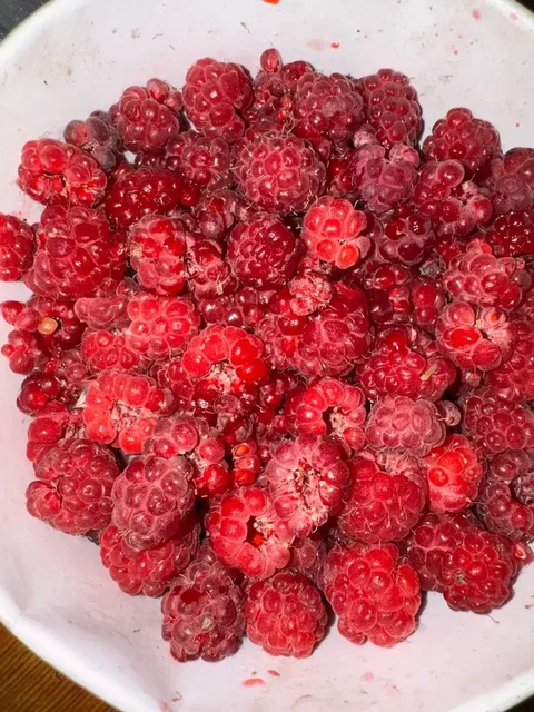 Продам малину свежую - частное объявление в Орск