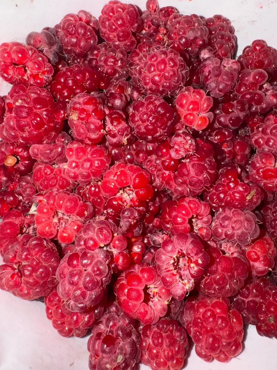 Продам малину свежую - Продукты (Барахолка) в Орск